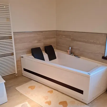 Haus Amadeus By Globalimmoservice 公寓 巴德小基希海姆